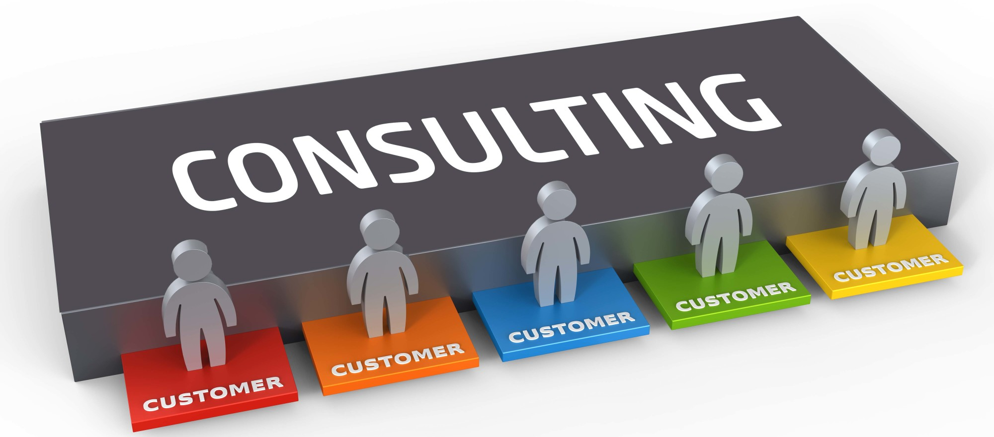 Consulting Services