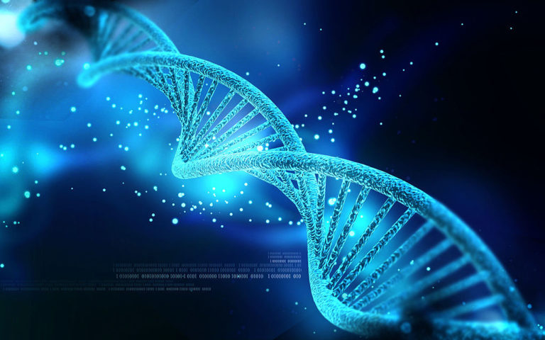 Next Generation Sequencing (NGS) Software'