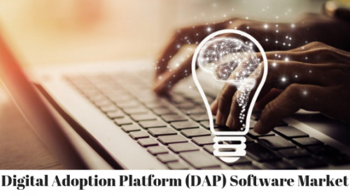 Digital Adoption Platform (DAP) Software'