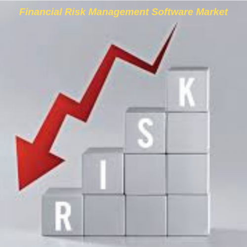 Financial Risk Management Software'