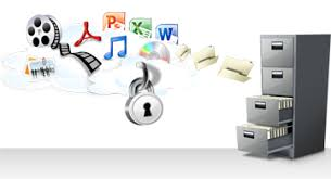 Digital Asset Management (DAM) Systems'