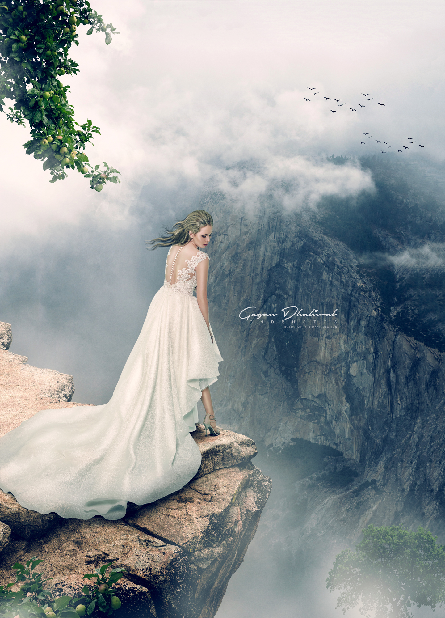 Gagan Dhaliwal Photography