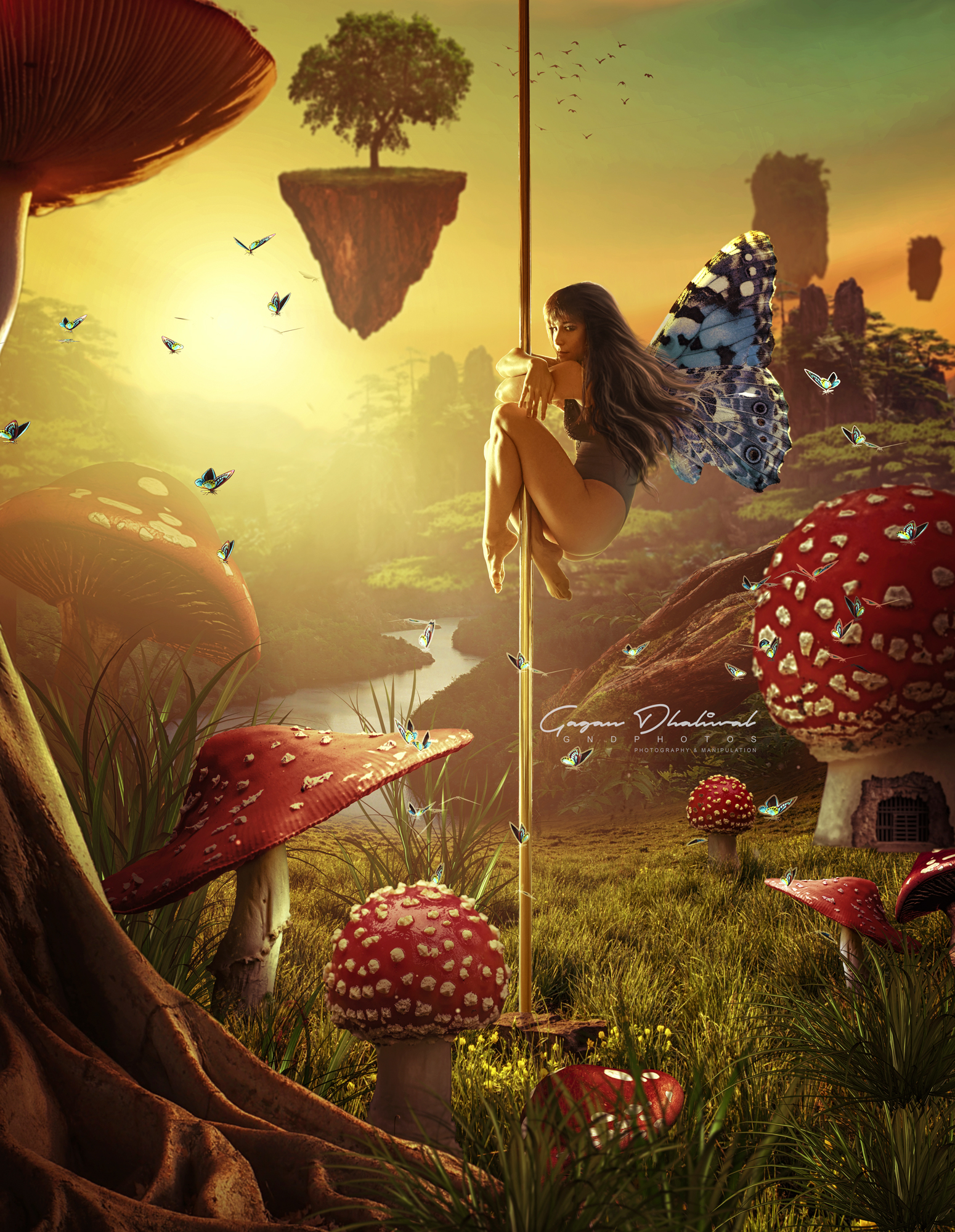 Gagan Dhaliwal Photography