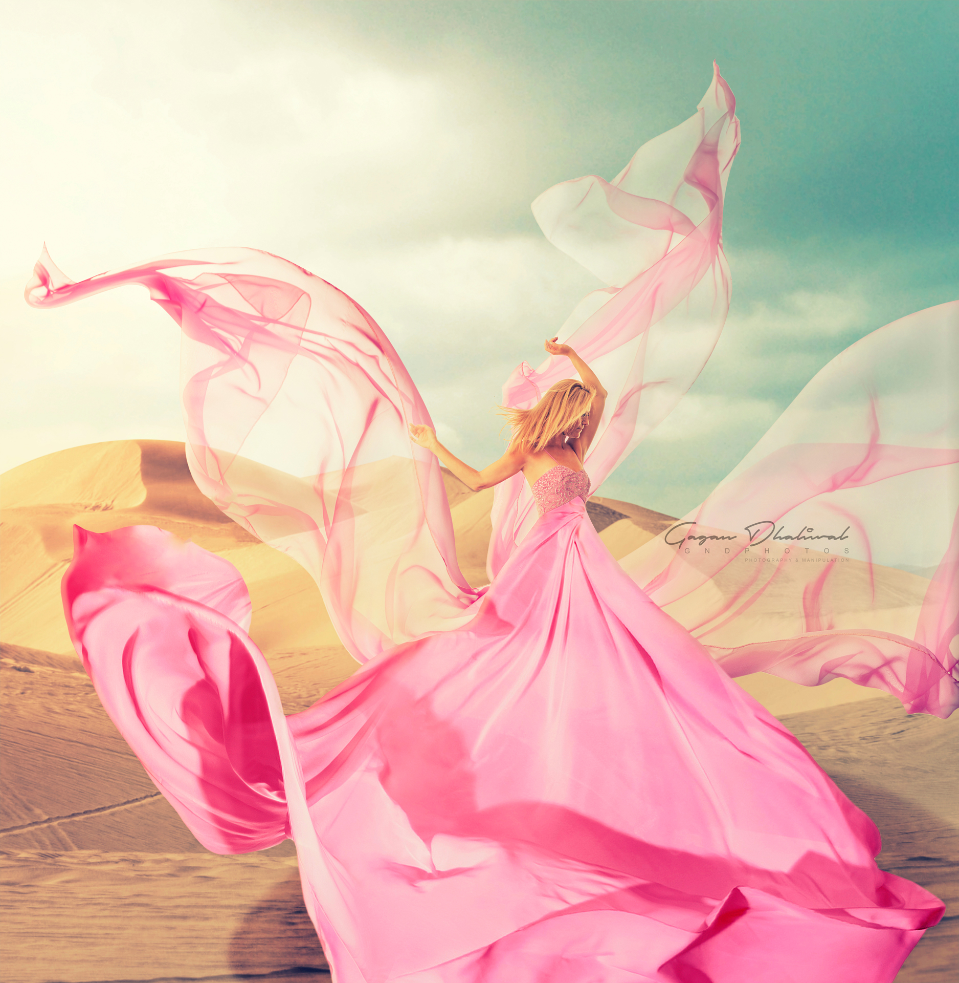 Gagan Dhaliwal Photography'