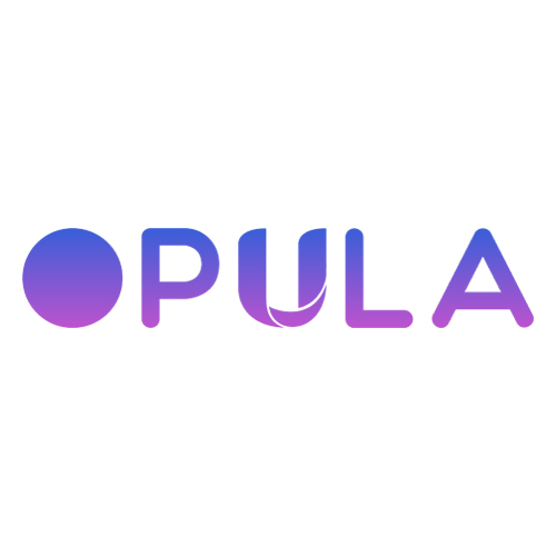 Company Logo For Opula Software Development Pvt. Ltd.'