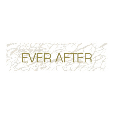 Company Logo For Ever After'