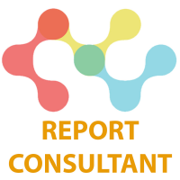 Report Consultant Logo