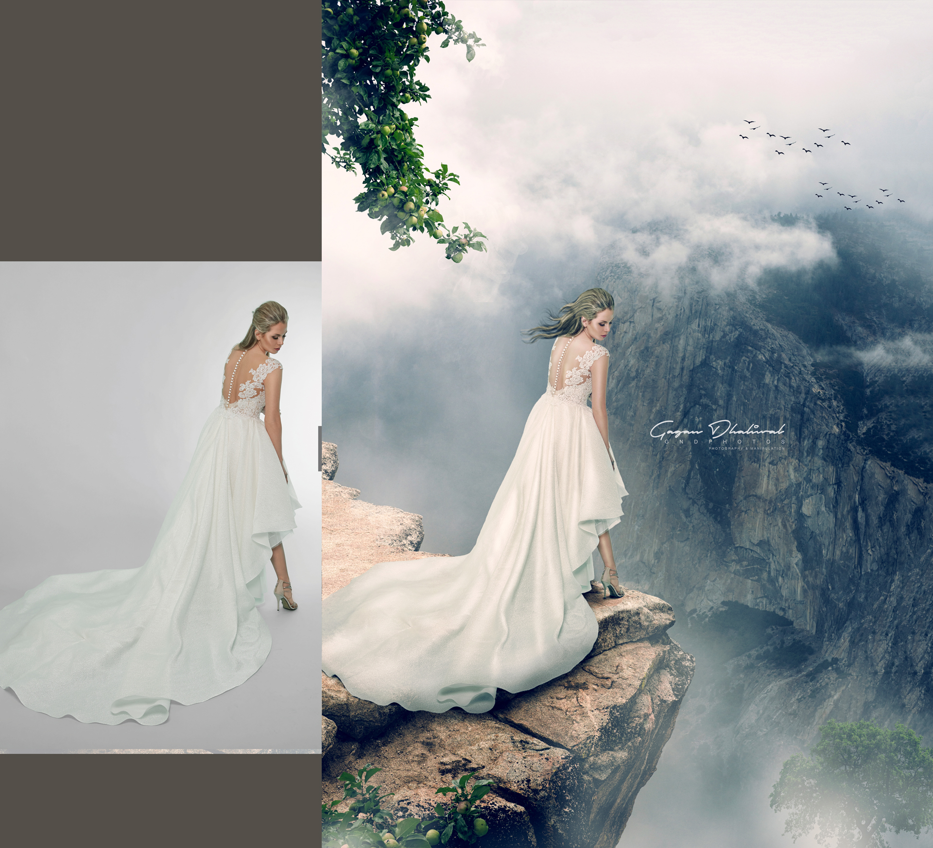 Gagan Dhaliwal Photography'