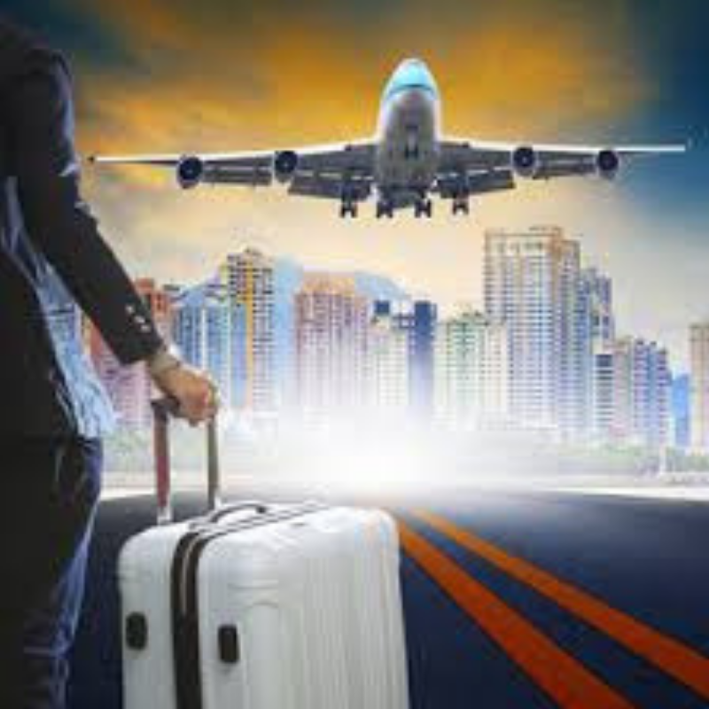 Travel Agency Software Market