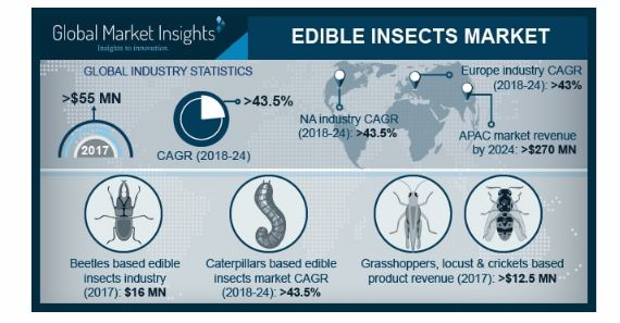 Edible Insects Market