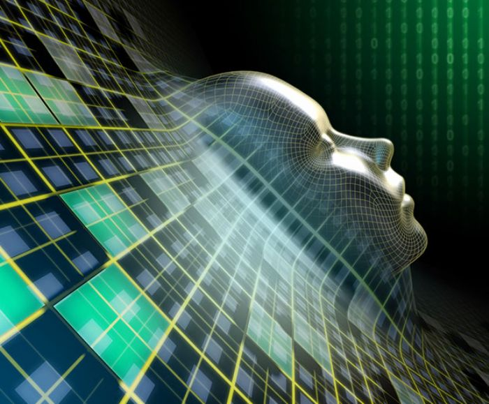 Neural Network Software'