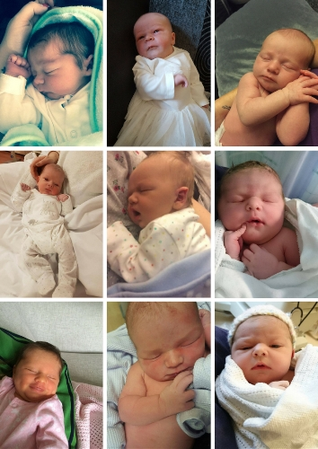 Vasectomy Reversal'