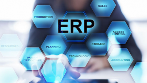 ERP Software For Garment Manufacturing Market'