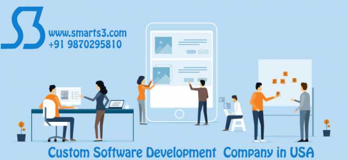 Custom Software Development Company In USA, UK'