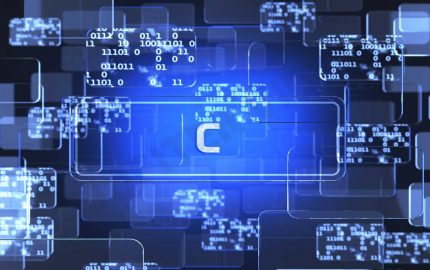 Programming Language Training