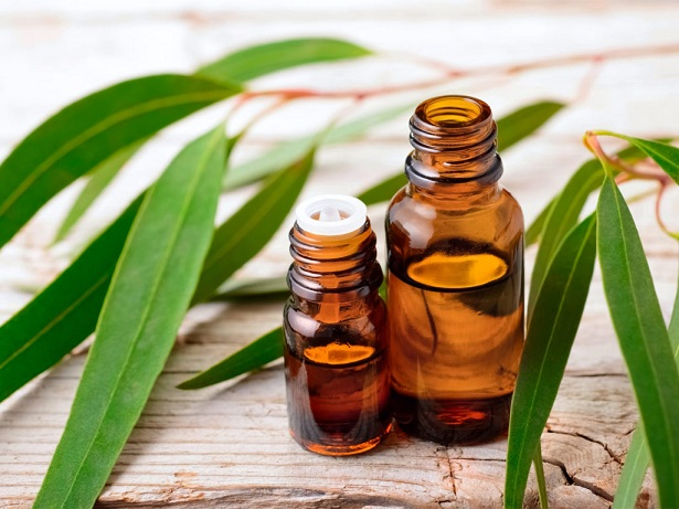 Eucalyptus Oil Market