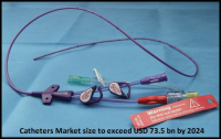Global Catheters Market size to exceed USD 73.5 bn by 2024