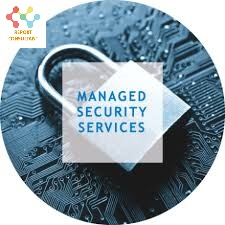 Managed Security Services