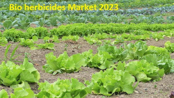 Global Bio herbicides -market demand,growth &amp; opport'