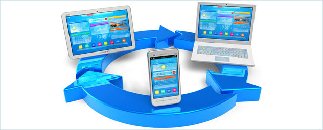 Behavioral Health Software Market'