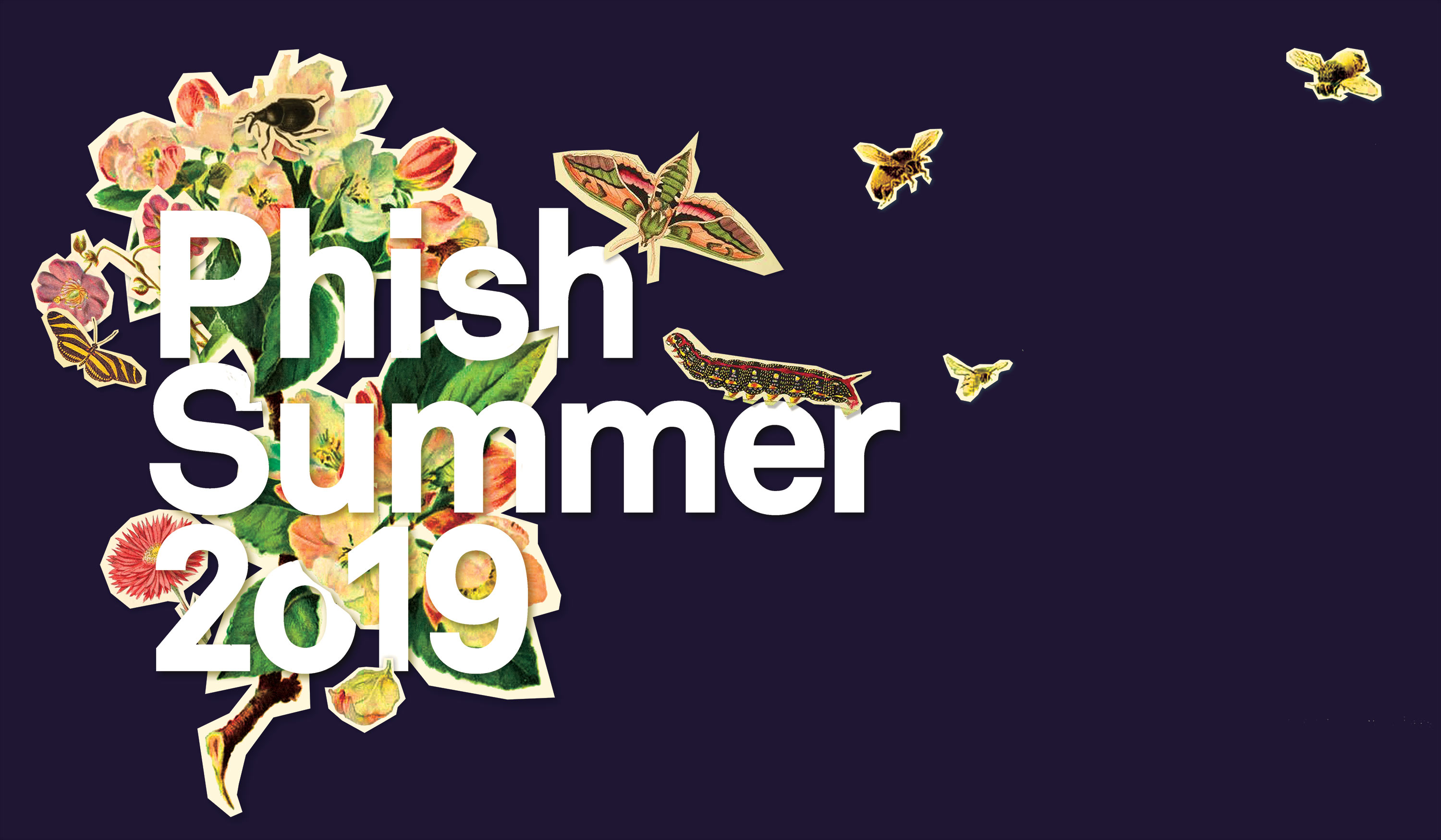 Phish Concert Tickets PNC Music Pavilion Charlotte'