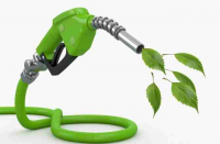 Biofuel Market Report