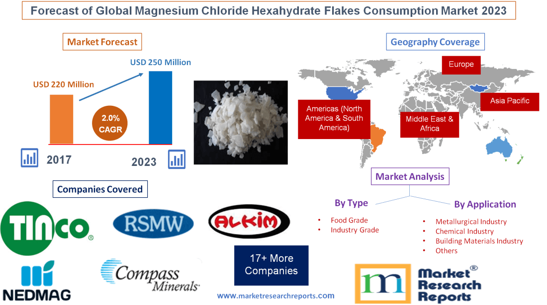 Forecast of Global Magnesium Chloride Hexahydrate Flakes'