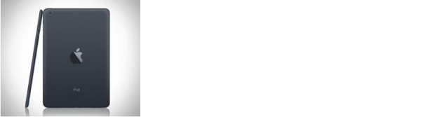 iPad'