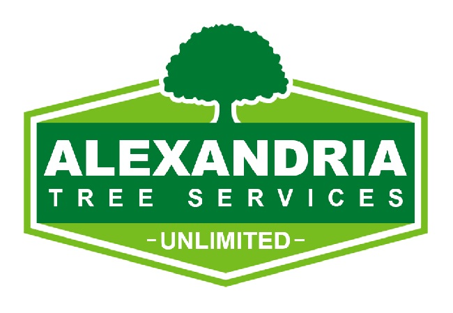 Company Logo For Alexandria Trees &amp; Stumps'