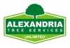 Company Logo For Alexandria Trees & Stumps'