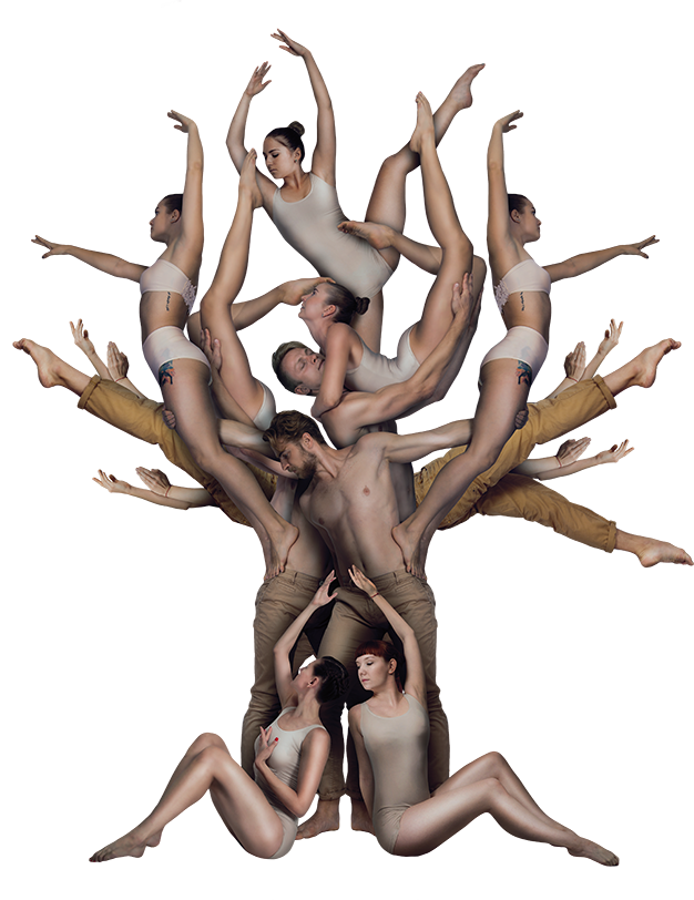 Shadow Theatre Verba