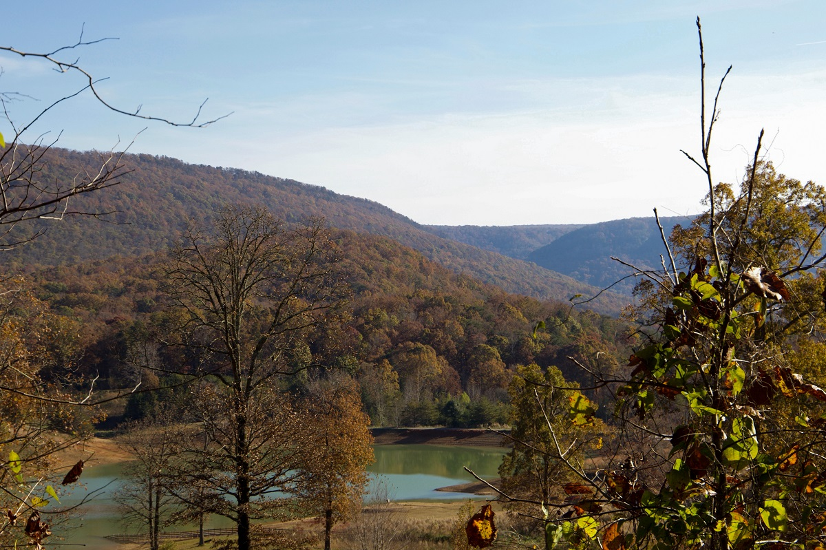 Charles B Henson Preserve at Johnsons Crook