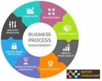 Business Process Management Software Market
