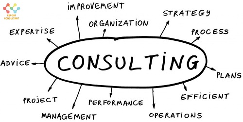 Consulting Services