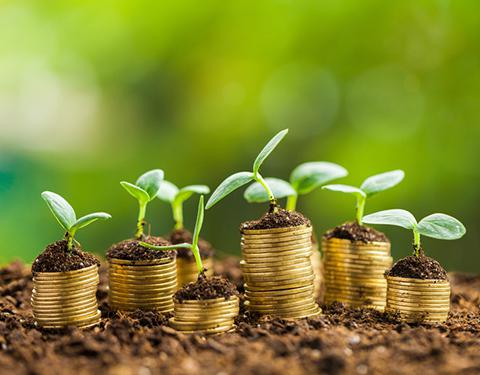 Carbon Offset/Carbon Credit Trading Service Market