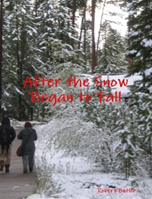 After the Snow Began to Fall