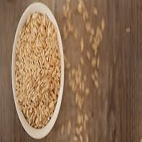 Rice Protein Market