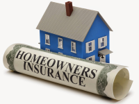 Homeowner Insurance Market