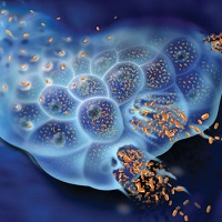 Oncolytic Virus Therapy Market