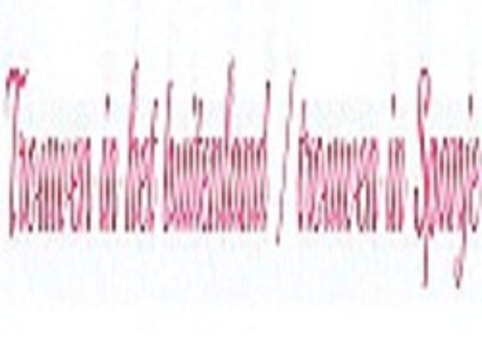 Company Logo For spanjeevent'
