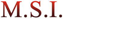 Mold Solutions & Inspections Logo