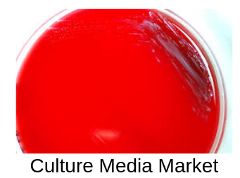 2022 Complete Report on Global Culture Media Market Forecast'