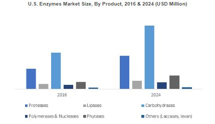 Enzymes Market'