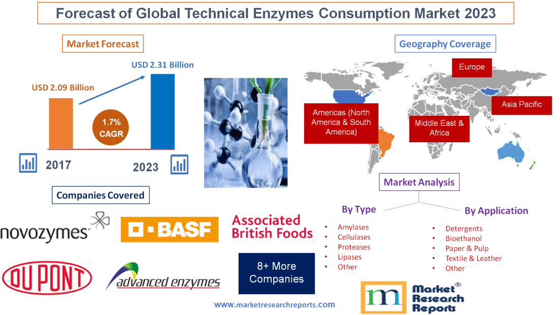 Forecast of Global Technical Enzymes Consumption Market 2023'