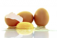 Egg & Egg Products Market