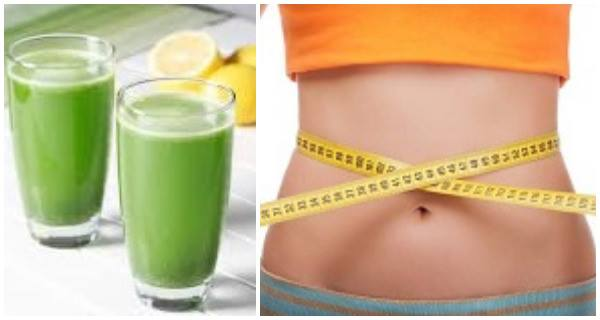Weight Loss Drinks Market Is Expected to Expand at an Impres'