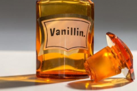 Bio Vanillin Market Dealers, Suppliers, Brand Strategy Deman
