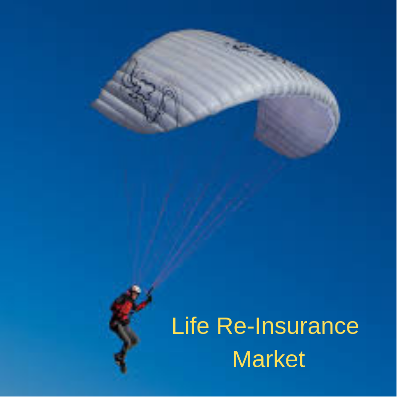 Life Re-Insurance Market'