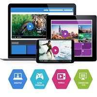 Online Video Platforms Market'