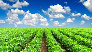 Agricultural AI Market is expected to reach USD 2,628.5 Mill